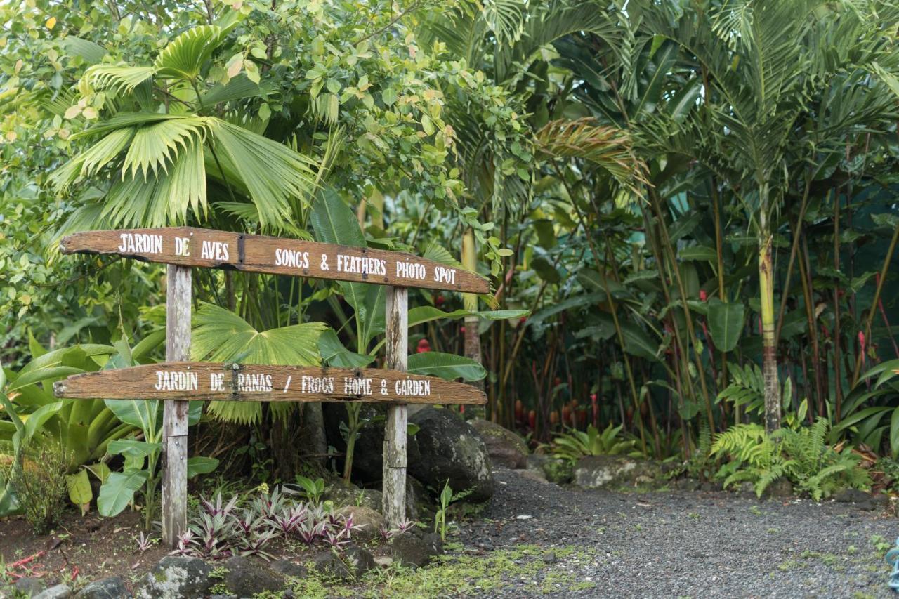 Cabanas Del Rio Aparthotel La Fortuna Ngoại thất bức ảnh